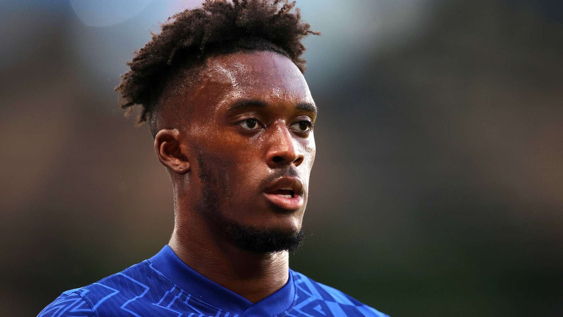 这场胜利不 这场胜利不